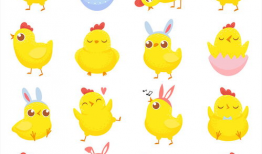 小鸡漫画,趣味横生的幽默世界